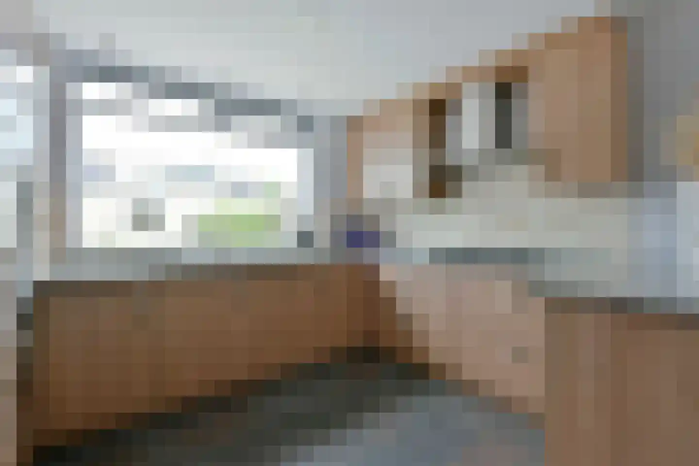 Fleurstraat 49 Nieuwkoop thumbnail 4