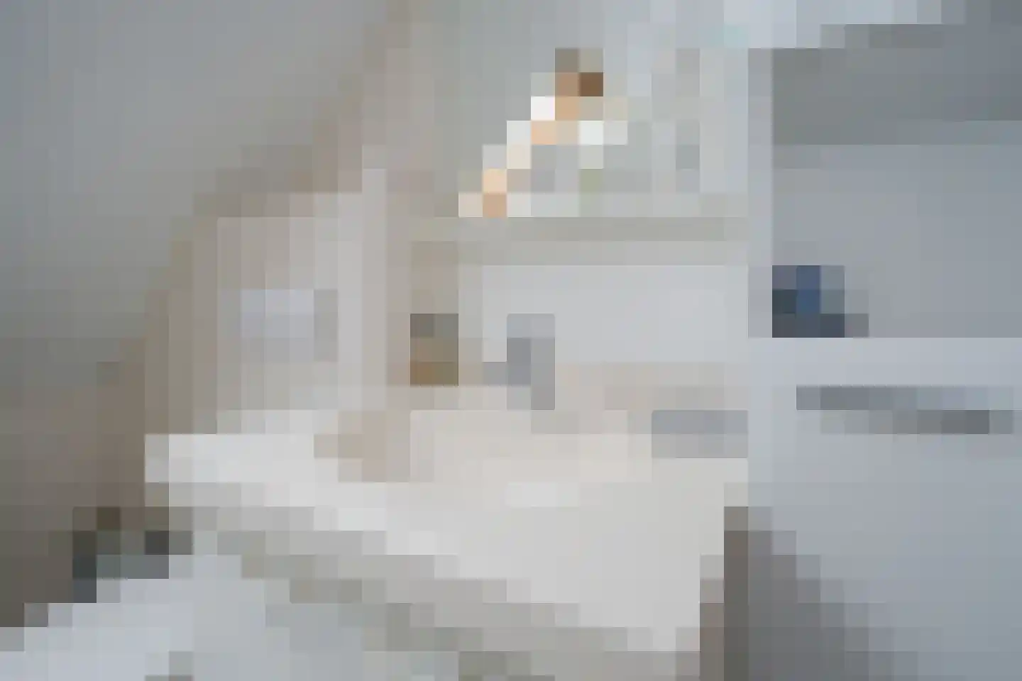 Flevo 108 Drachten thumbnail 35