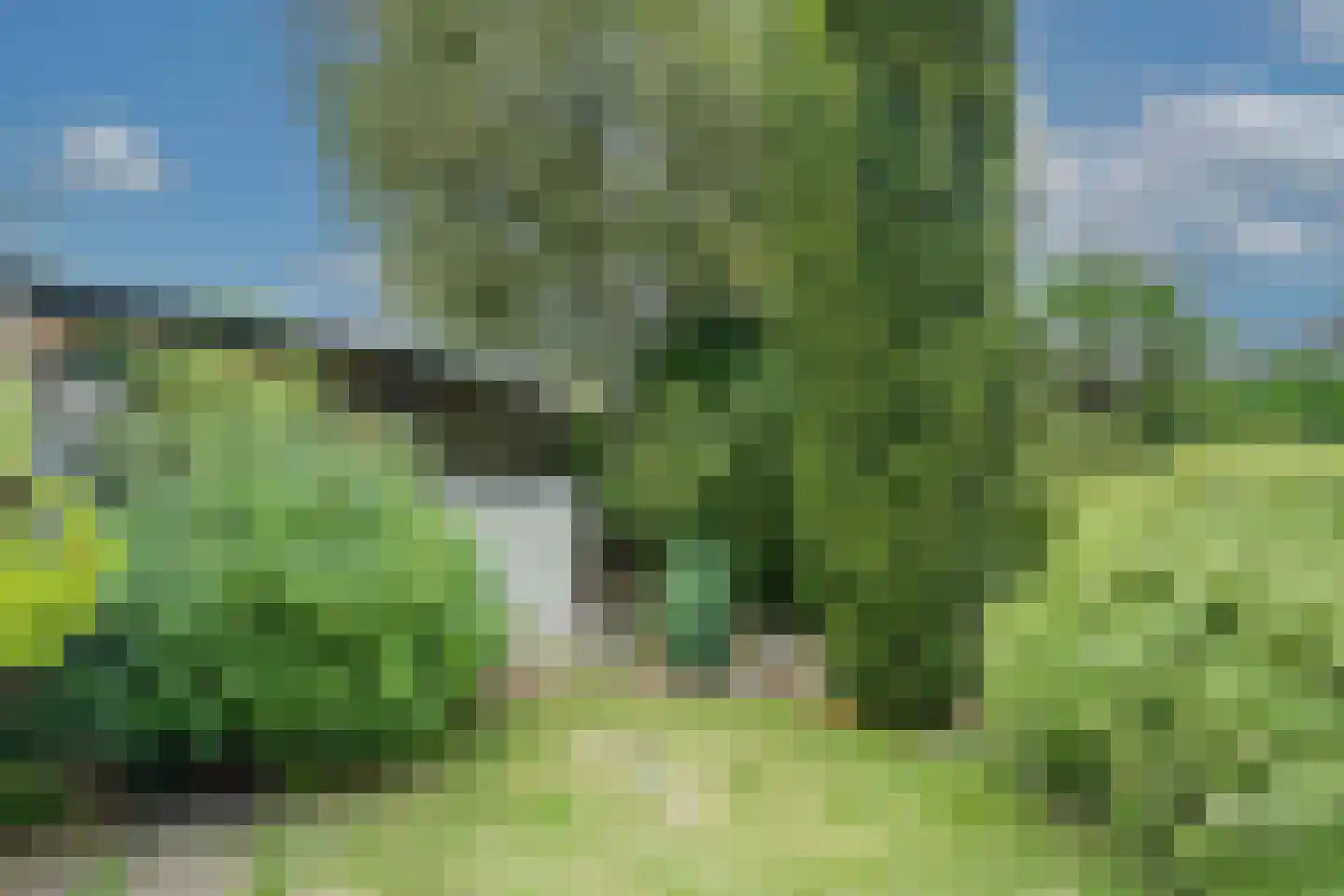 Flevo 108 Drachten thumbnail 41