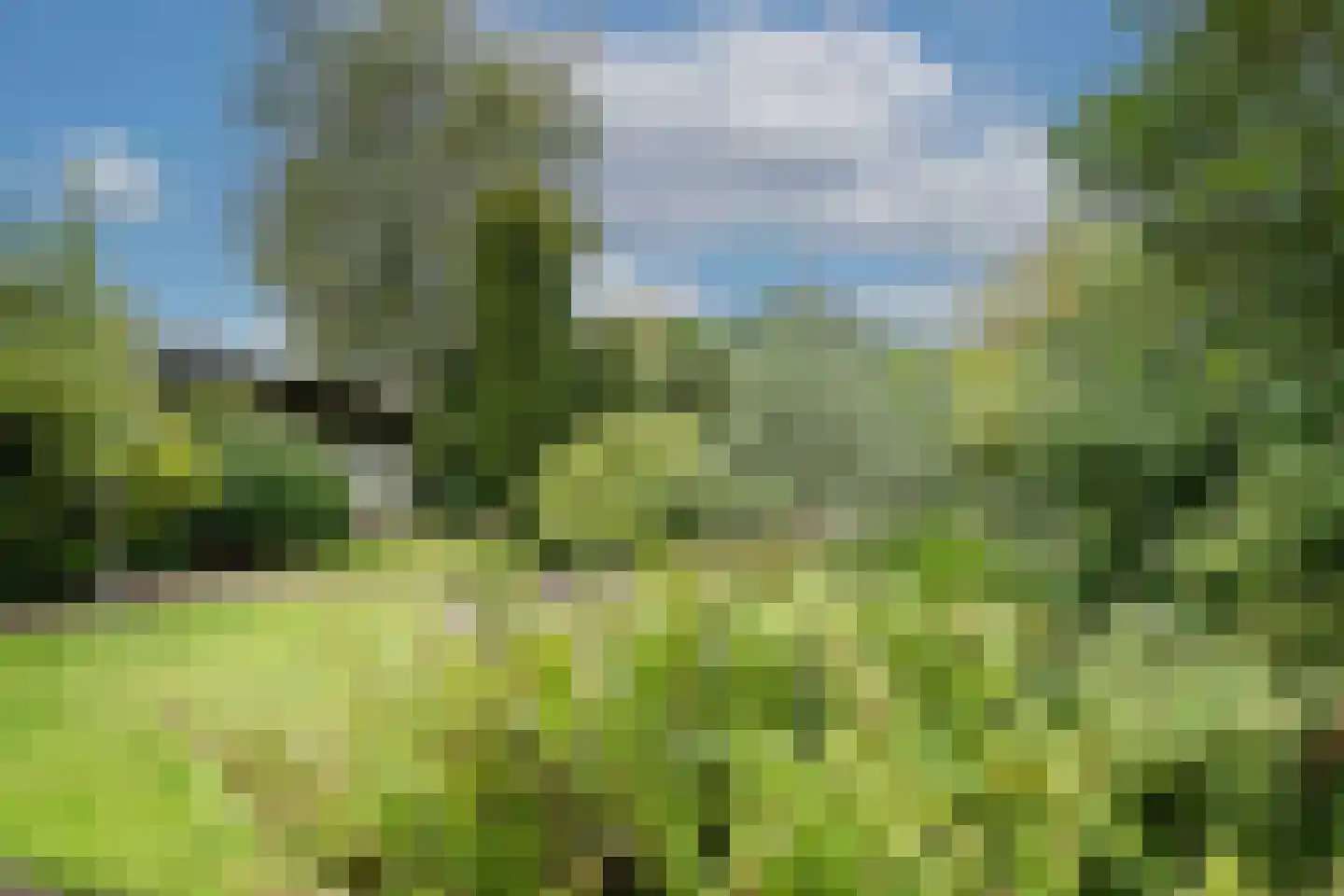 Flevo 108 Drachten thumbnail 43