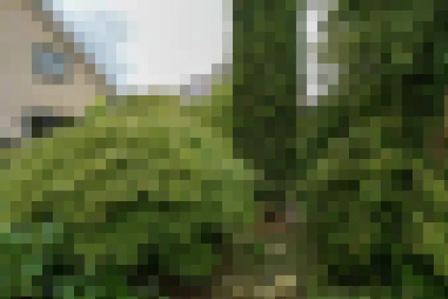 Flevo 108 Drachten thumbnail 44