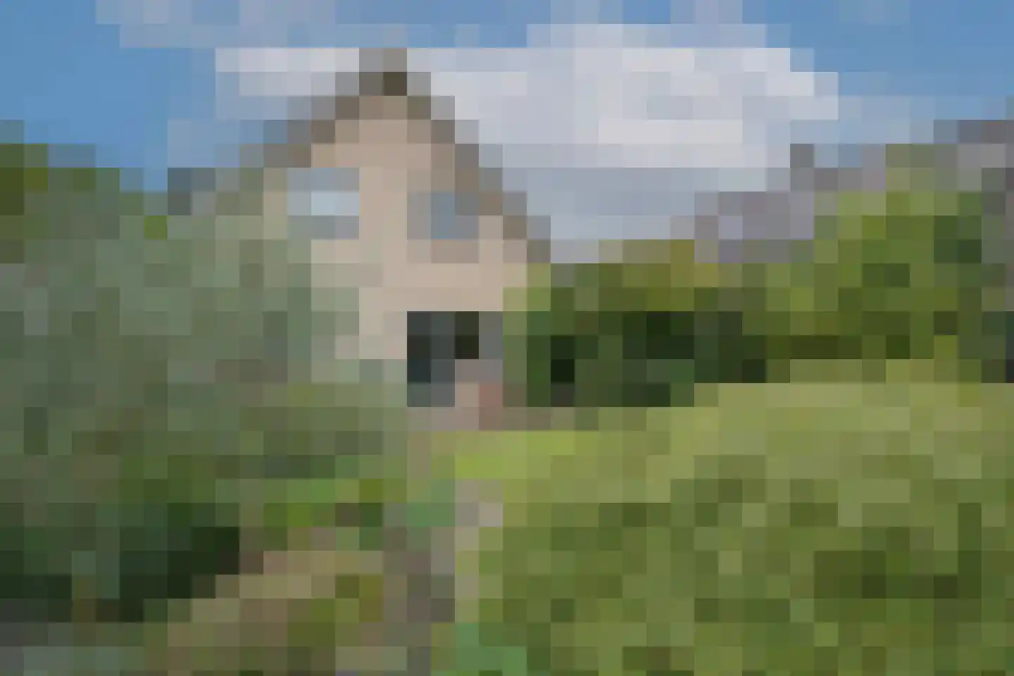 Flevo 108 Drachten thumbnail 45