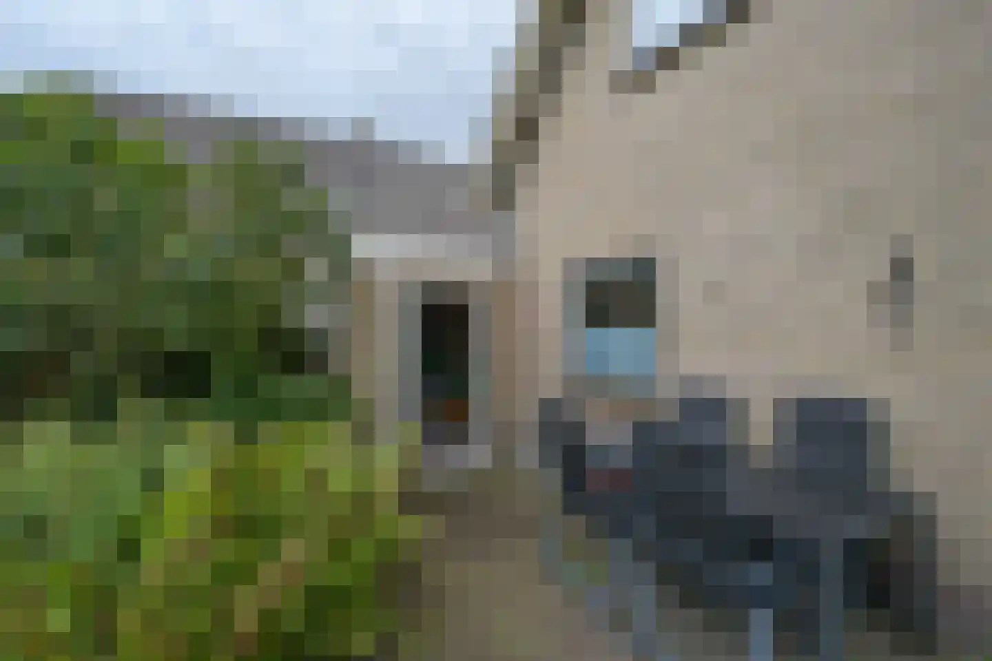 Flevo 108 Drachten thumbnail 48