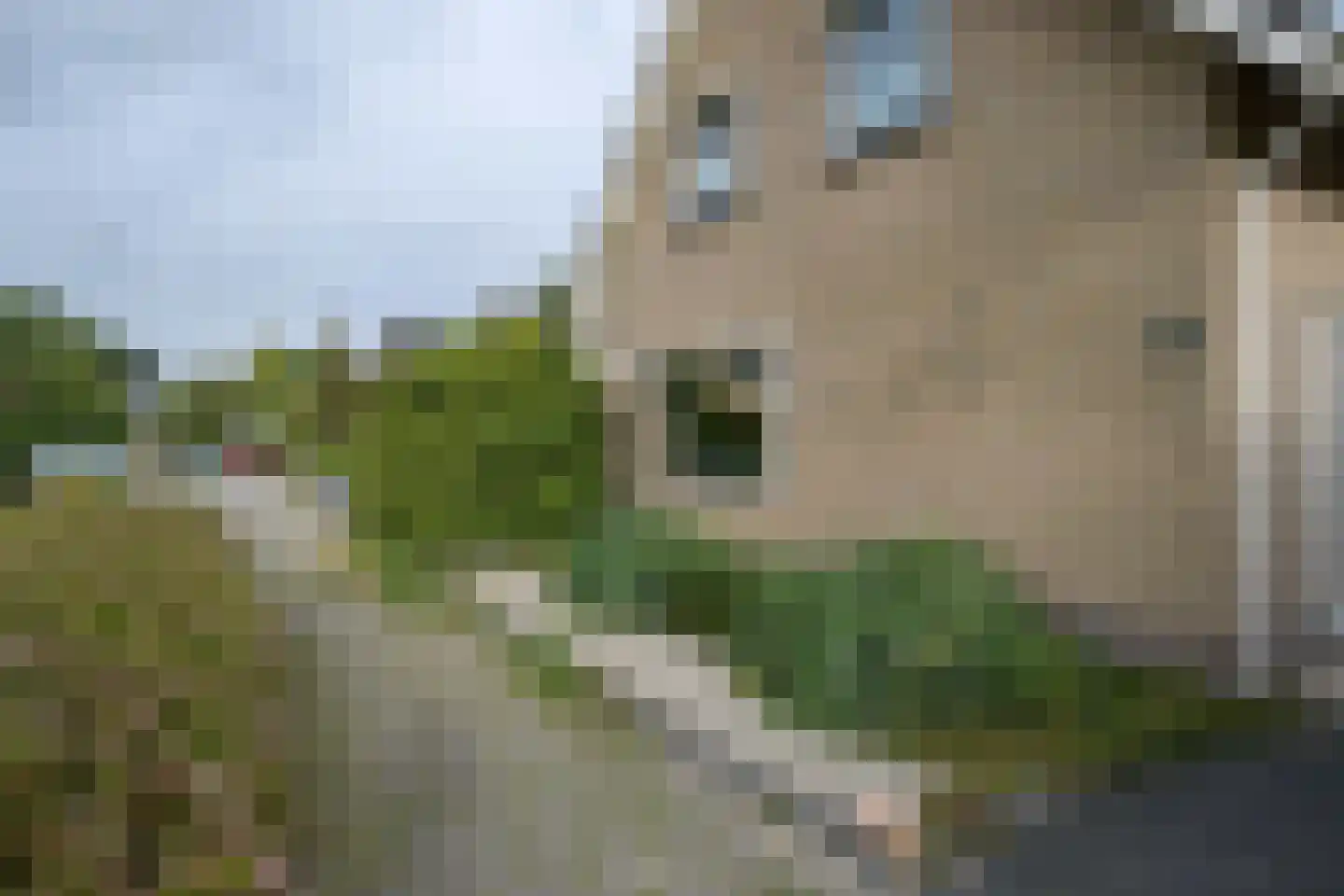 Flevo 108 Drachten thumbnail 49