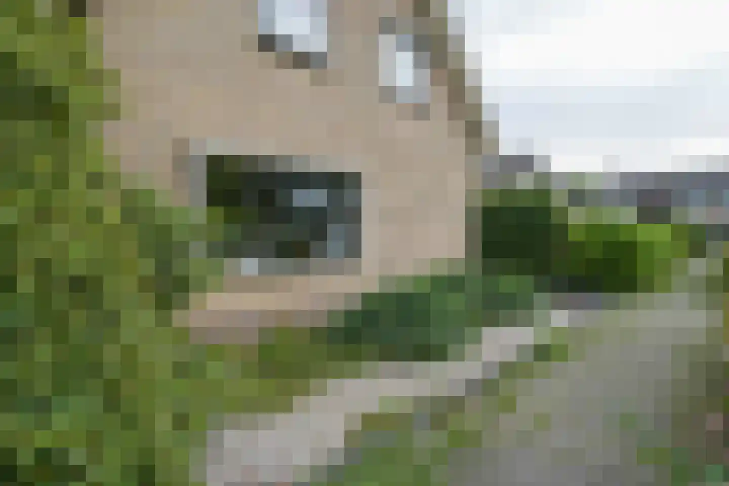 Flevo 108 Drachten thumbnail 50