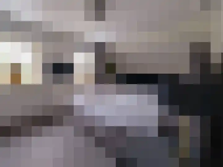 Flevo 110 Drachten thumbnail 22