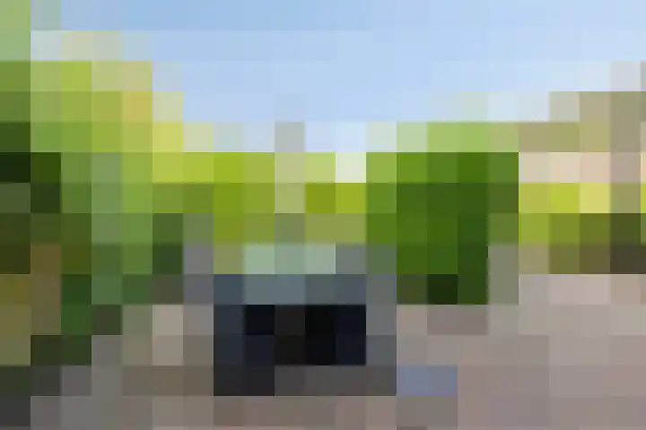 Flevo 135 Drachten thumbnail 31