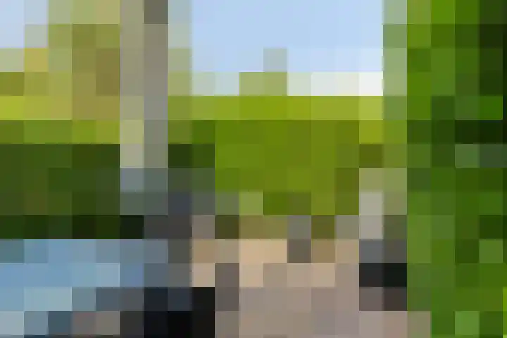 Flevo 135 Drachten thumbnail 32