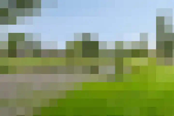 Flevo 135 Drachten thumbnail 34