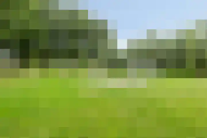 Flevo 135 Drachten thumbnail 36