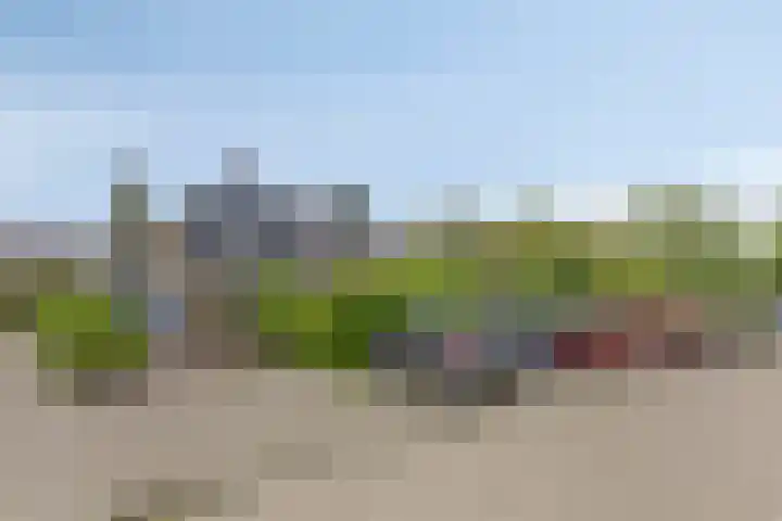 Flevo 135 Drachten thumbnail 5