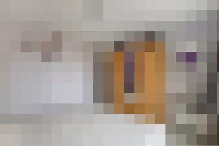 Flevo 73 Drachten thumbnail 11