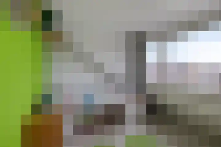 Flevo 73 Drachten thumbnail 22