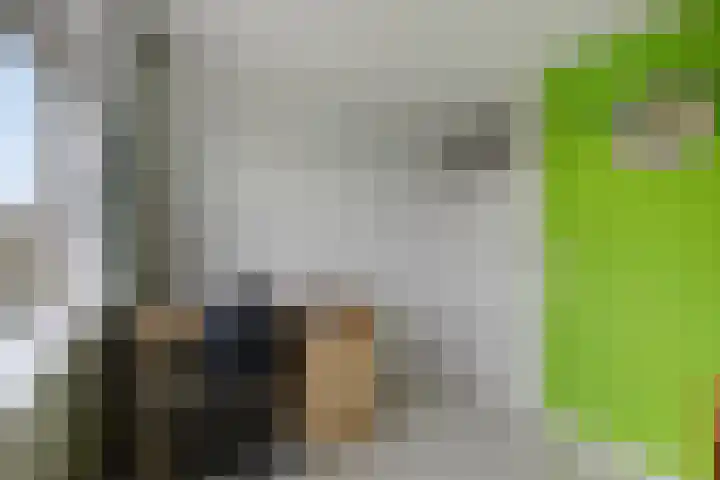 Flevo 73 Drachten thumbnail 23