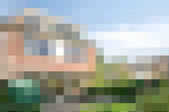 Flevo 73 Drachten thumbnail 27