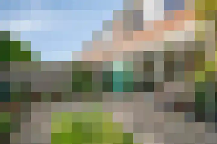 Flevo 73 Drachten thumbnail 28