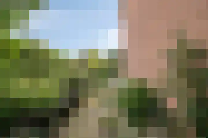 Flevo 73 Drachten thumbnail 29