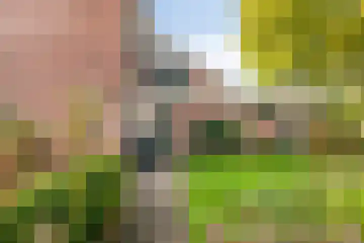 Flevo 73 Drachten thumbnail 30