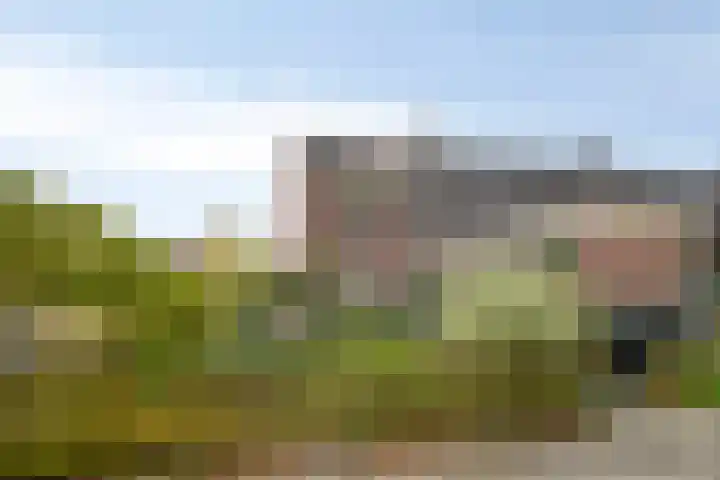 Flevo 73 Drachten thumbnail 31