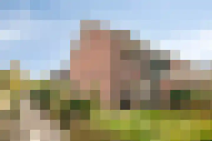 Flevo 73 Drachten thumbnail 32