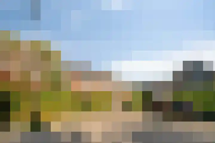 Flevo 73 Drachten thumbnail 33