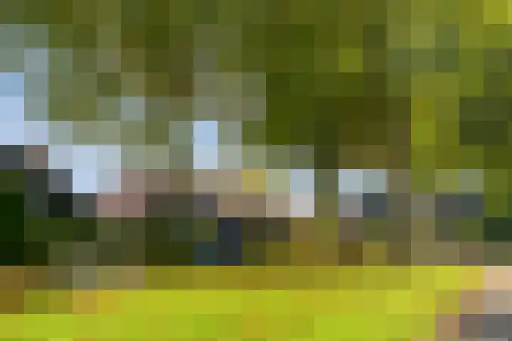 Flevo 73 Drachten thumbnail 34