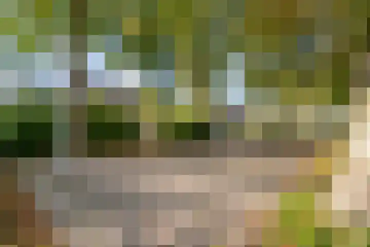 Flevo 73 Drachten thumbnail 35