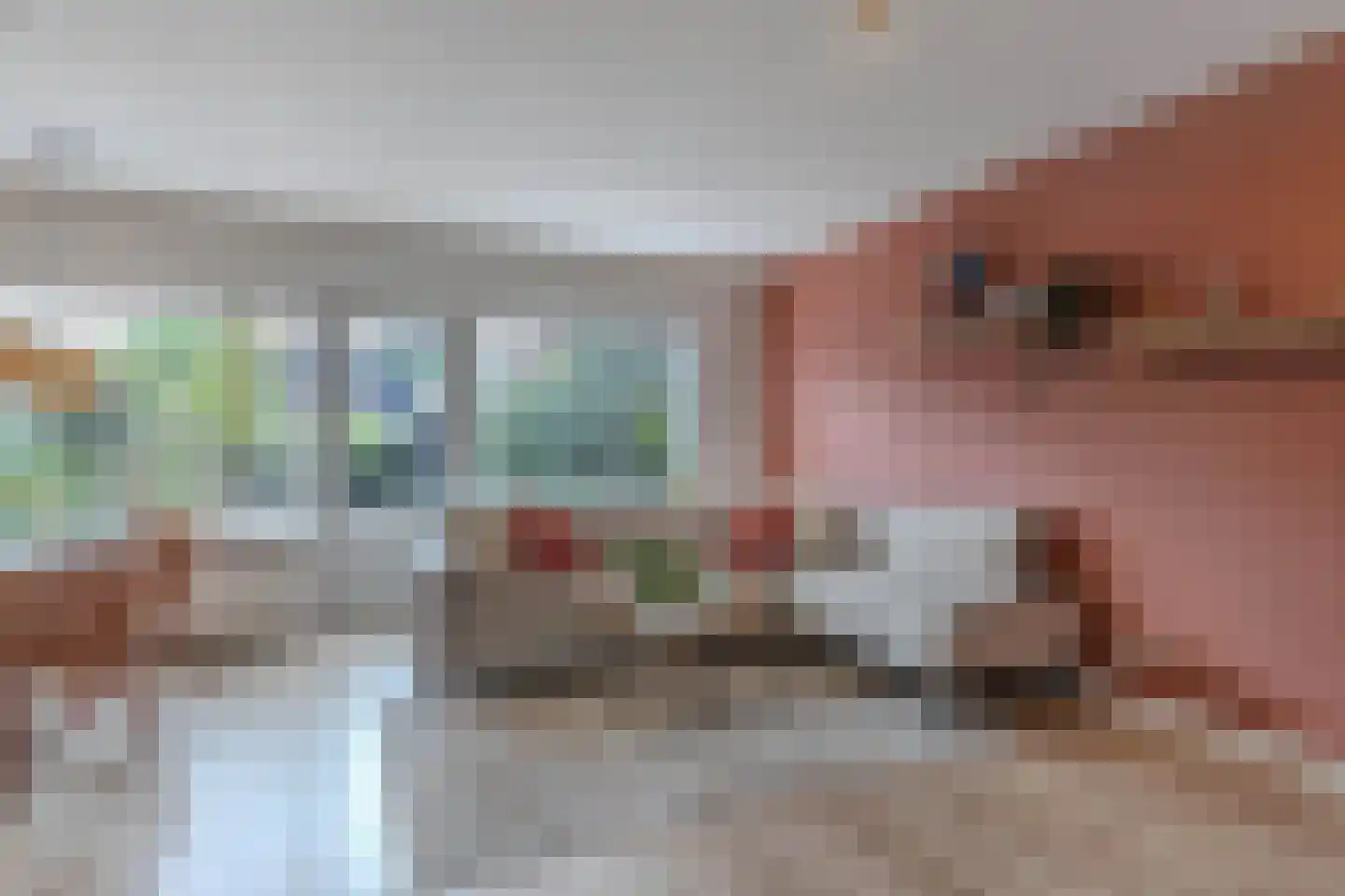 Flevo 95 Drachten thumbnail 13
