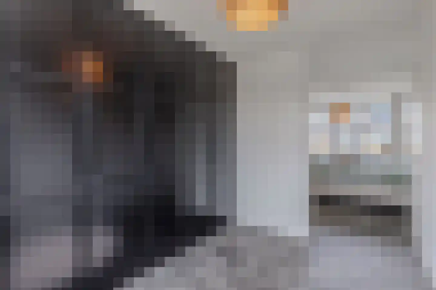 Flevo 95 Drachten thumbnail 30