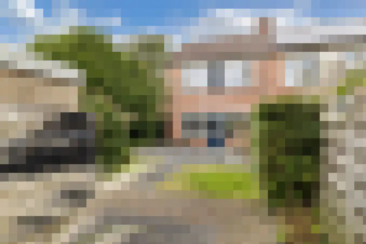 Flevo 95 Drachten thumbnail 4