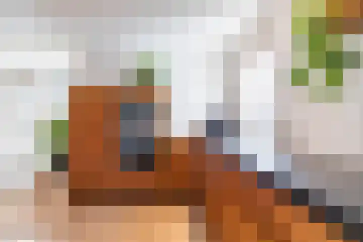 Flevo 98 Drachten thumbnail 12