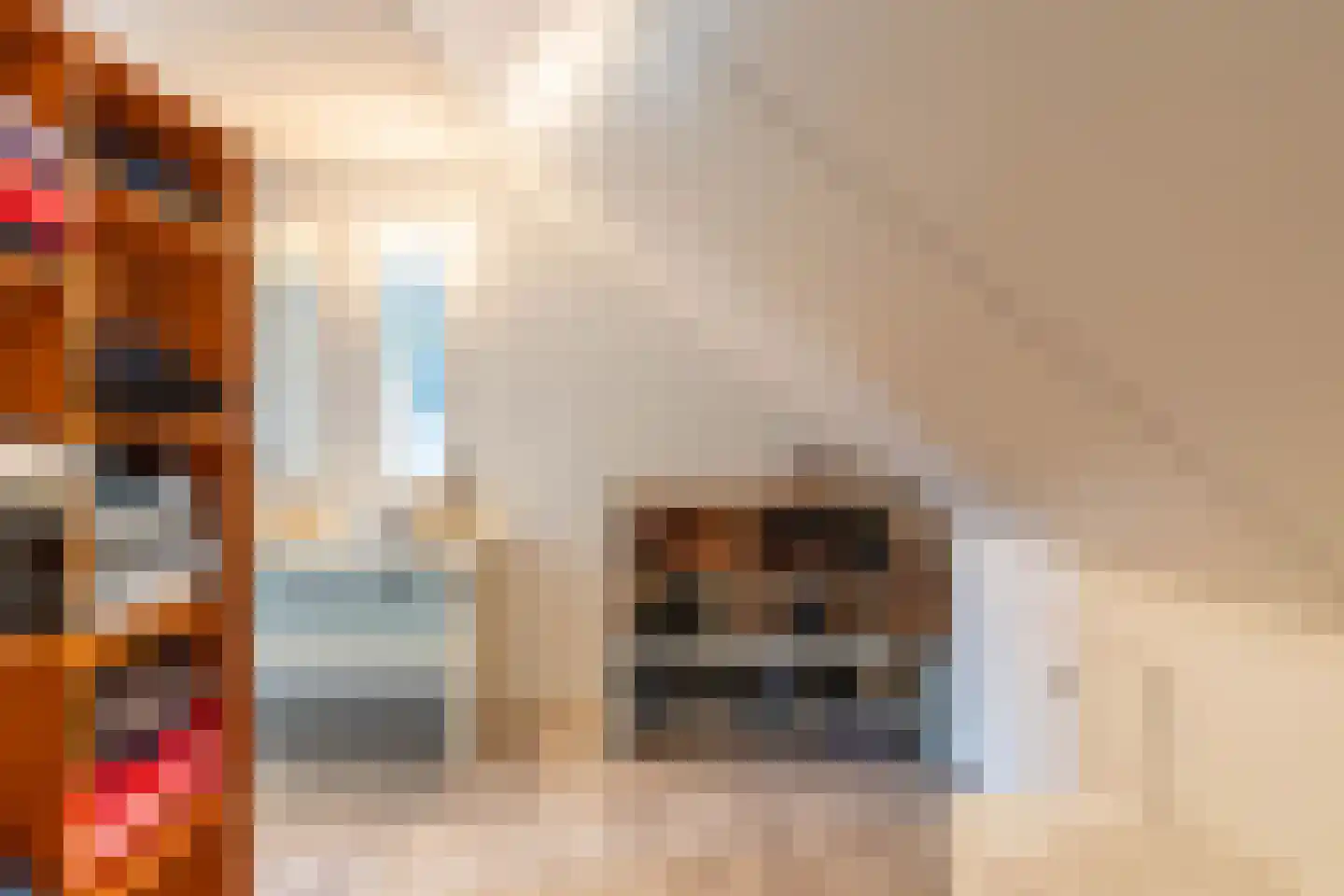 Flevo 98 Drachten thumbnail 37