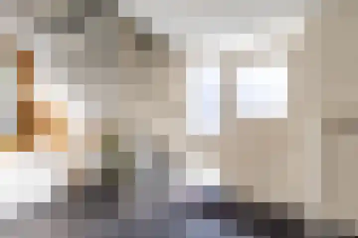 Flevo 98 Drachten thumbnail 4