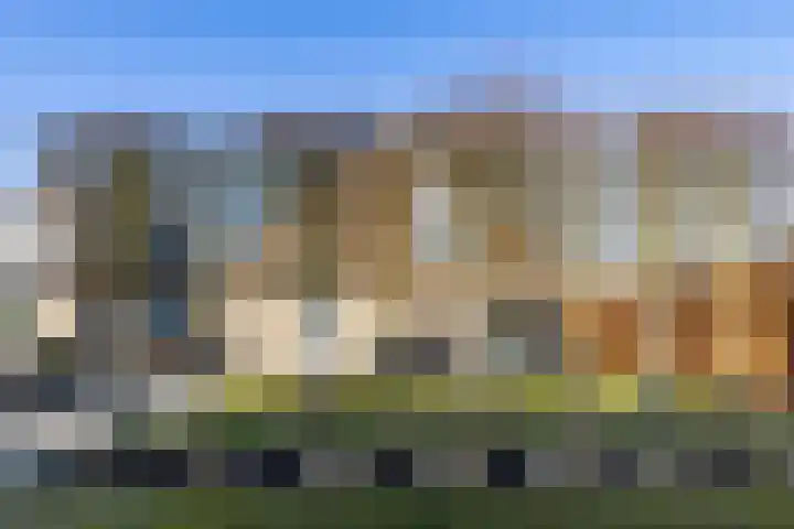 Flevo 98 Drachten thumbnail 48