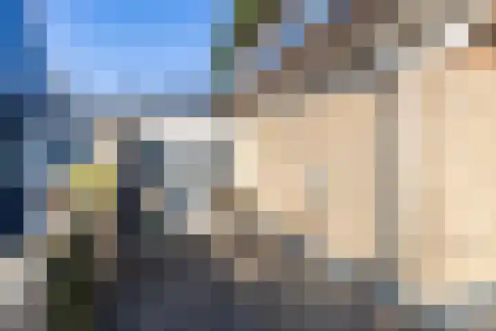 Flevo 98 Drachten thumbnail 49