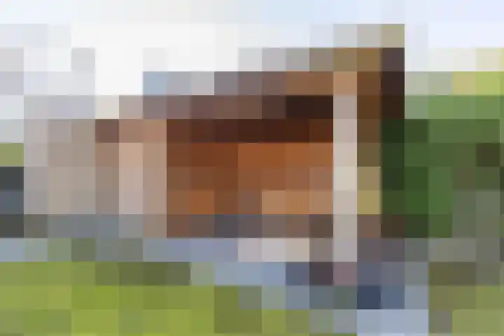 Flevo 98 Drachten thumbnail 50
