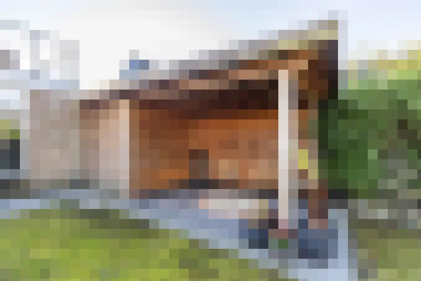 Flevo 98 Drachten thumbnail 50