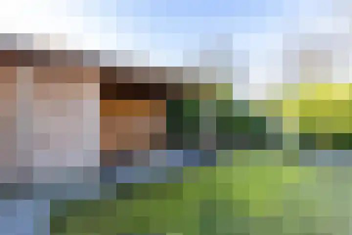Flevo 98 Drachten thumbnail 51