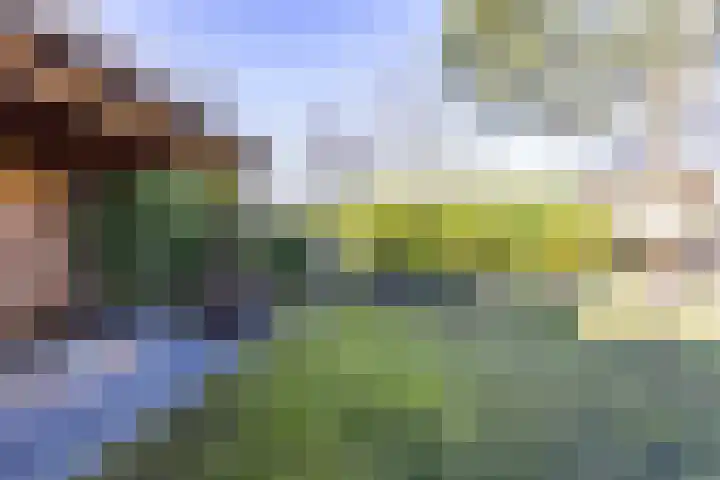 Flevo 98 Drachten thumbnail 52