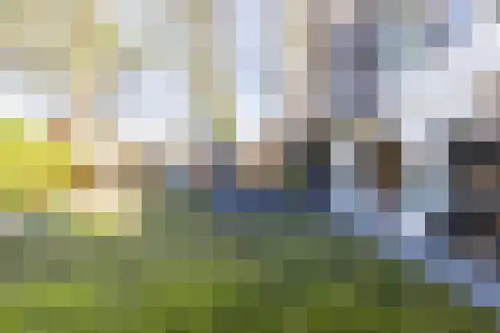 Flevo 98 Drachten thumbnail 54