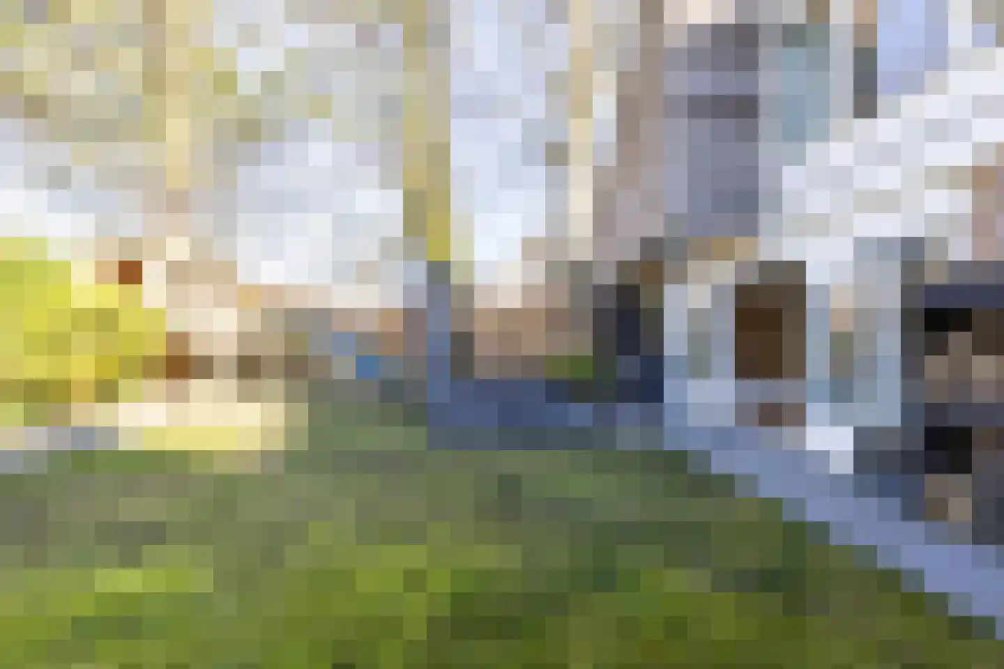 Flevo 98 Drachten thumbnail 54