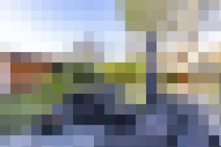 Flevo 98 Drachten thumbnail 56