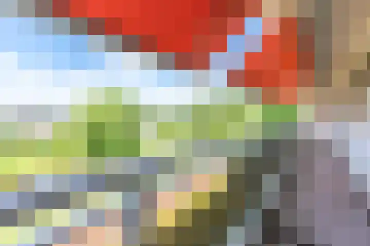 Flevolaan 141 Amstelveen thumbnail 10