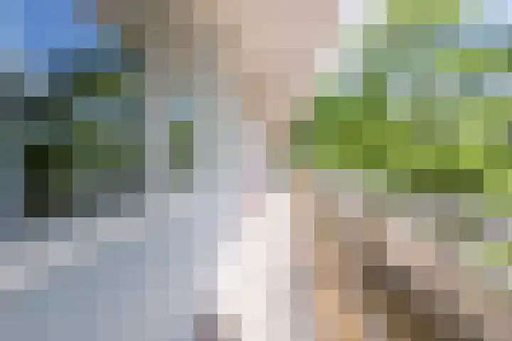 Flevolaan 141 Amstelveen thumbnail 11