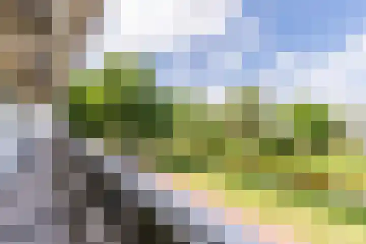 Flevolaan 141 Amstelveen thumbnail 17