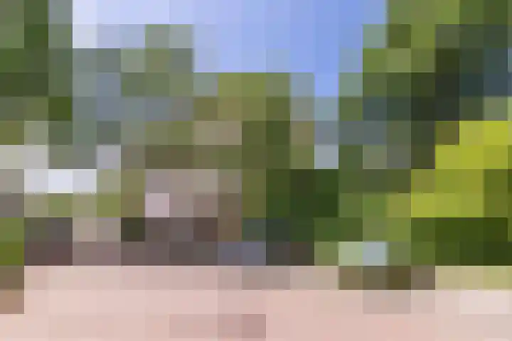 Flevolaan 141 Amstelveen thumbnail 29