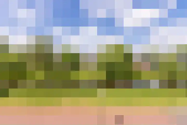 Flevolaan 141 Amstelveen thumbnail 32