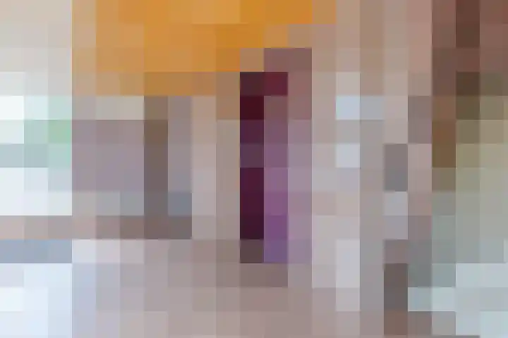 Flevolaan 141 Amstelveen thumbnail 33
