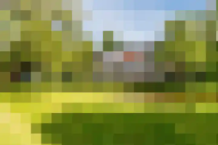Flevolaan 141 Amstelveen thumbnail 35