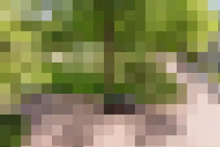 Flevolaan 141 Amstelveen thumbnail 38